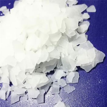 山東春水堂视频成人