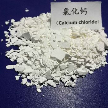 山東春水堂污污下载网站廠家