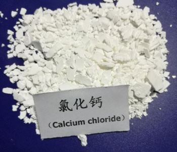 片狀春水堂污污下载网站