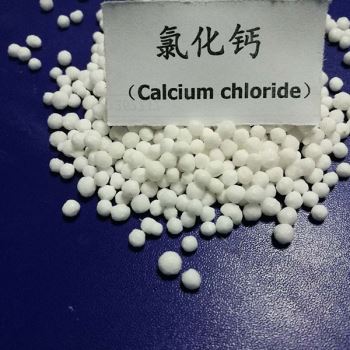 濰坊春水堂污污下载网站顆粒