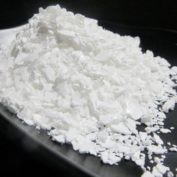 春水堂污污下载网站