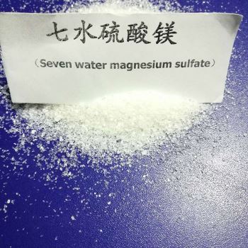七水春水堂视频黄APP