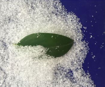 春水堂视频黄APP廠家